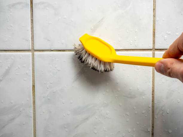 Best Best Mold Removal Companies  in North Pole, AK