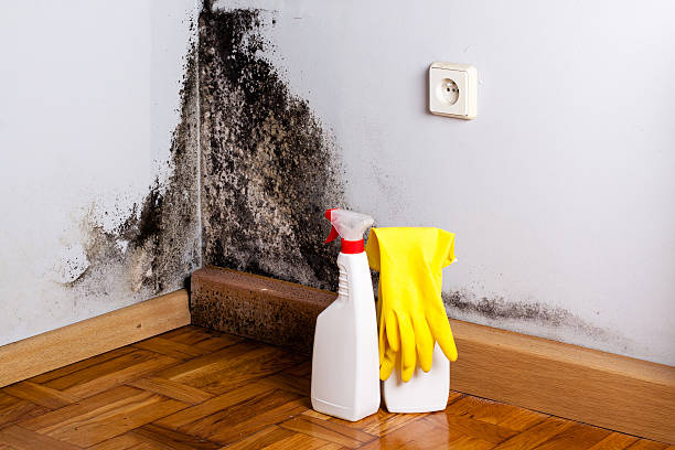 Water Damage Restoration in North Pole, AK