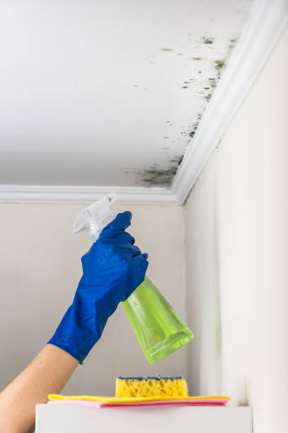 Best Crawl Space Mold Removal  in North Pole, AK