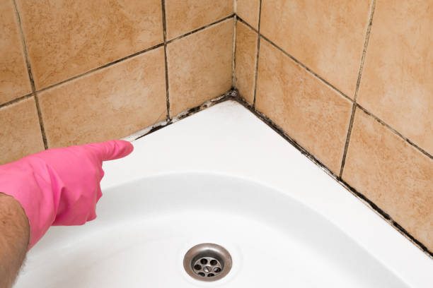 Best Residential Mold Removal  in North Pole, AK